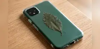 ¿Tienes una hoja de laurel en casa? Descubre por qué muchas personas la guardan en la funda del celular