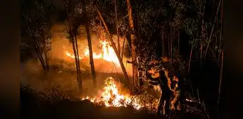 Áncash en alerta por incendios forestales: 47 emergencias han destruido más de 500 hectáreas en lo que va del año