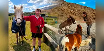 Buscan voluntarios para cuidar caballos, burros y otros animales rescatados en Nueva Zelanda: ofrecerán alojamiento gratis Buscan voluntarios para cuidar caballos, burros y otros animales rescatados en Nueva Zelanda: ofrecerán alojamiento gratis