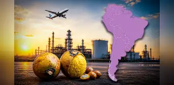 Una fruta podría convertirse en combustible para aviones: este país de América Latina invertirá US$3.000 millones en el plan