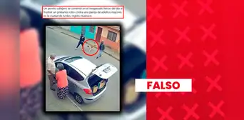 Video de perrito callejero enfrentándose a delincuentes “que pretendían asaltar a dos adultos mayores en Huánuco” no corresponde a un hecho real: se elaboró con IA