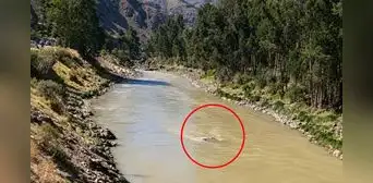 Junín: tres personas mueren tras despiste de auto que cayó al río Mantaro en la Carretera Central