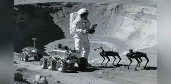 Científicos espaciales proponen usar perros robots para proteger la estación de investigación lunar de China