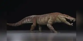 Esta bestia prehistórica tenía más de 50 dientes y podía cazar dinosaurios: vivió en este país de América Latina y científicos descubren cómo era este temible cazador