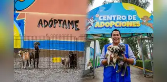 ¿Quieres adoptar un perro o gato rescatado? MML ofrece mascotas en adopción tras salvarlas del comercio ilegal en el Cercado: conoce los requisitos ¿Quieres adoptar un perro o gato rescatado? MML ofrece mascotas en adopción tras salvarlas del comercio ilegal en el Cercado: conoce los requisitos