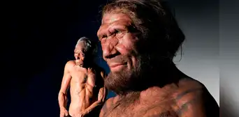 Científicos afirman que el gen neandertal aún moldea los músculos y las mandíbulas en los humanos modernos
