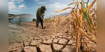 Déficit hídrico amenaza al agro: 607 distritos de 16 regiones quedan bajo estado de emergencia