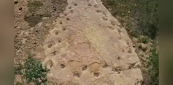 Unas huellas de dinosaurios de 150 millones de años revelan algo extraño en su forma de caminar