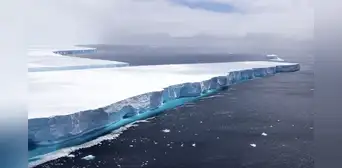 Un descubrimiento inesperado en las profundidades de la Antártida: aparecen patrones geométricos en el lecho marino Un descubrimiento inesperado en las profundidades de la Antártida: aparecen patrones geométricos en el lecho marino