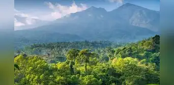 El megaproyecto urbano que cambiará la estructura de un país: se levanta en plena selva, costará US$33.000 millones y beneficiará a 1,9 millones El megaproyecto urbano que cambiará la estructura de un país: se levanta en plena selva, costará US$33.000 millones y beneficiará a 1,9 millones