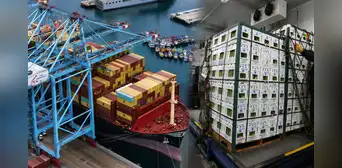 La fruta que se produce en Perú y se convirtió en la favorita de Estados Unidos: ventas crecieron casi 100% y generó más de U$21 millones en menos de 6 meses