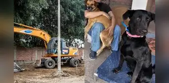 Denuncian demolición de refugio para perros abandonados en la Universidad Nacional Agraria La Molina
