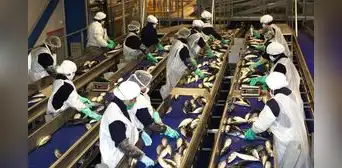 PBI creció 3,05% hasta junio, pero pesca y manufactura retrocedieron PBI creció 3,05% hasta junio, pero pesca y manufactura retrocedieron