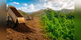 Científicos vertieron 30 camiones de pulpa de café en un terreno seco de Costa Rica: 2 años después, el paisaje era irreconocible Científicos vertieron 30 camiones de pulpa de café en un terreno seco de Costa Rica: 2 años después, el paisaje era irreconocible