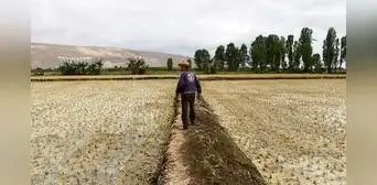 El Niño 2026-2027: sequía en la sierra podría alcanzar niveles similares a los de 1982-83 El Niño 2026-2027: sequía en la sierra podría alcanzar niveles similares a los de 1982-83
