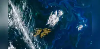 La NASA afirma que El Niño está alterando la vida marina: detectan disminución del fitoplancton en el Pacífico