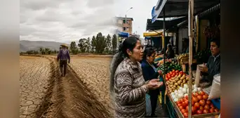 El Niño podría encarecer los alimentos en Perú: ¿qué productos subirían más de precio? El Niño podría encarecer los alimentos en Perú: ¿qué productos subirían más de precio?