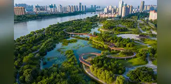 Así funciona la ‘ciudad esponja’, una innovadora solución contra inundaciones que ya usan China, EE.UU. y otros países del mundo