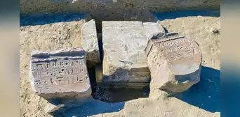 Un rastro de pisadas de hace 66,5 millones de años revela las primeras huellas de un T. rex adulto caminando Un rastro de pisadas de hace 66,5 millones de años revela las primeras huellas de un T. rex adulto caminando