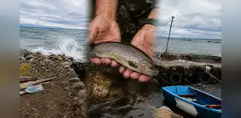 Alerta en el lago Titicaca: olas gigantes hunden jaulas y provocan la pérdida de 200 toneladas de trucha en Puno