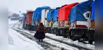 Nevadas golpean Bolivia y dejan más de 26.000 familias afectadas y miles de animales en riesgo por el frío