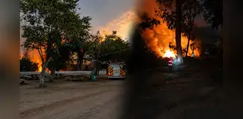 Tragedia ambiental en Chimbote: fuego consume 5 hectáreas de cobertura natural y obliga a cerrar el Vivero Forestal