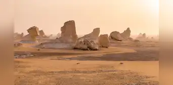 Un desierto de tiburones fue descubierto en el desierto de Egipto con 7 especies diferentes