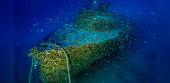 Tras 13 años de búsqueda, hallan a 96 metros bajo el mar un buque alemán clave de la Segunda Guerra Mundial: su estado de conservación es excepcional