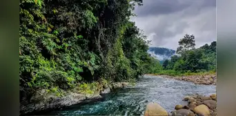 Candamo: Minem busca destrabar el gas de Madre de Dios pese al freno judicial Candamo: Minem busca destrabar el gas de Madre de Dios pese al freno judicial