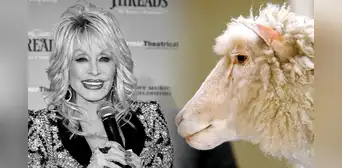Dolly Parton y la oveja clonada que cambió la ciencia en 1997: la peculiar razón por la que compartieron nombre
