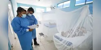 Dengue en Perú: muertes ya superan todo el registro de 2025 y casos aumentan 53% en 2026
