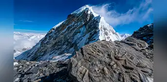 Fósiles marinos de 450 millones de años revelan el pasado del Everest: la cumbre más alta de la Tierra nació de un antiguo mar bajo el Himalaya