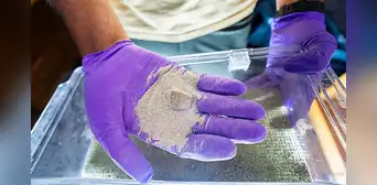 Unas bacterias modificadas genéticamente ofrecen una nueva forma de acelerar la meteorización de las rocas para eliminar el CO₂