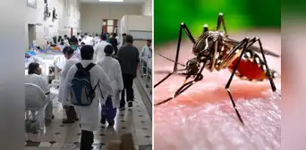 Dengue en Perú: Minsa reporta 4.000 contagios en Lima y lanza advertencia por impacto del fenómeno de El Niño Dengue en Perú: Minsa reporta 4.000 contagios en Lima y lanza advertencia por impacto del fenómeno de El Niño