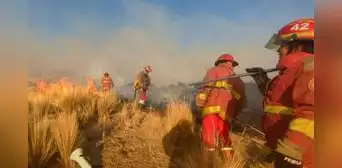 Feroz incendio forestal en Puno deja una adulta mayor fallecida y amenaza comunidades