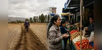 El Niño empeoraría el hambre: fenómeno amenaza con agravar la inseguridad alimentaria de millones de peruanos El Niño empeoraría el hambre: fenómeno amenaza con agravar la inseguridad alimentaria de millones de peruanos