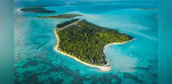 En 1966, Marlon Brando compró una isla en la Polinesia tras filmar una película: hoy es santuario con 15.614 tortugas verdes En 1966, Marlon Brando compró una isla en la Polinesia tras filmar una película: hoy es santuario con 15.614 tortugas verdes
