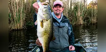 Un hombre construyó un lago para criar peces, pero la fauna silvestre se apoderó del lugar: así cambió todo en solo 1.000 días Un hombre construyó un lago para criar peces, pero la fauna silvestre se apoderó del lugar: así cambió todo en solo 1.000 días