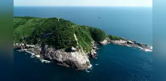 En esta isla de Sudamérica vive una serpiente por metro cuadrado, y nadie tiene permitido desembarcar