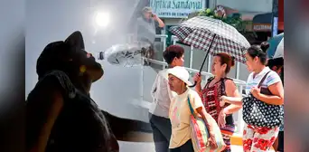 Temperaturas de hasta 38 °C azotarán la selva norte del 3 al 5 de setiembre, según Senamhi Temperaturas de hasta 38 °C azotarán la selva norte del 3 al 5 de setiembre, según Senamhi