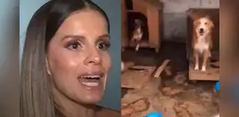 Alejandra Baigorria marca distancia de albergue en Chaclacayo tras denuncia por abandono: "No tengo obligación de ayudar a todos"