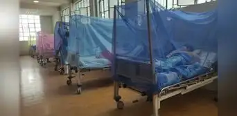 Madre e hijo mueren por dengue en Lambayeque: región ya suma 11 fallecidos por brote este 2026 Madre e hijo mueren por dengue en Lambayeque: región ya suma 11 fallecidos por brote este 2026