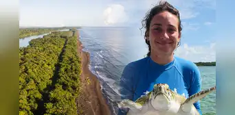 Costa Rica busca voluntarios sin experiencia para cuidar tortugas marinas en el Caribe: incluye alojamiento y 3 comidas al día