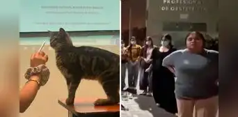 Denuncian muerte por envenenamiento de seis gatos de la Escuela de Obstetricia de San Marcos: exigen identificar a los responsables Denuncian muerte por envenenamiento de seis gatos de la Escuela de Obstetricia de San Marcos: exigen identificar a los responsables