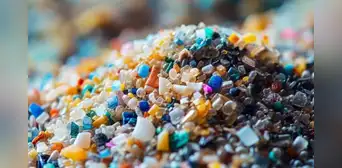 Los microplásticos ya llegaron a tu mesa: descubre los 5 alimentos que más consumes y que podrían estar contaminados