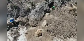 Un rastro de pisadas de hace 66,5 millones de años revela las primeras huellas de un T. rex adulto caminando Un rastro de pisadas de hace 66,5 millones de años revela las primeras huellas de un T. rex adulto caminando