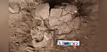 Descubren los orígenes de uno de los hábitos de consumo de drogas más antiguos de la humanidad en la Edad de Hielo Descubren los orígenes de uno de los hábitos de consumo de drogas más antiguos de la humanidad en la Edad de Hielo