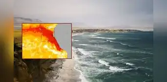 El Niño Costero: cuatro nuevas ondas Kelvin llegarán al Perú y mantendrán caliente el mar hasta noviembre El Niño Costero: cuatro nuevas ondas Kelvin llegarán al Perú y mantendrán caliente el mar hasta noviembre