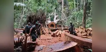 Mataron a 37 líderes amazónicos y otros 43 están bajo amenaza Mataron a 37 líderes amazónicos y otros 43 están bajo amenaza