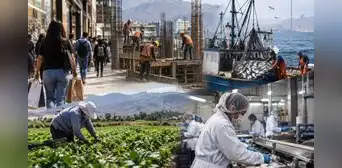 Economía peruana creció 3,56% en julio, pero pesca, agro e industria frenaron un mayor avance